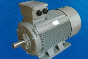 Motor montado nos pés da série YE3