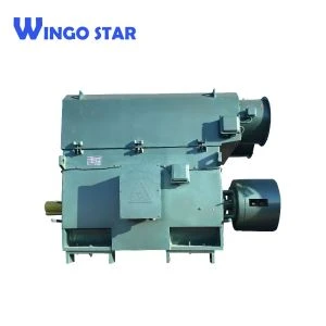 Motor elétrico de indução de gaiola de esquilo de alta tensão